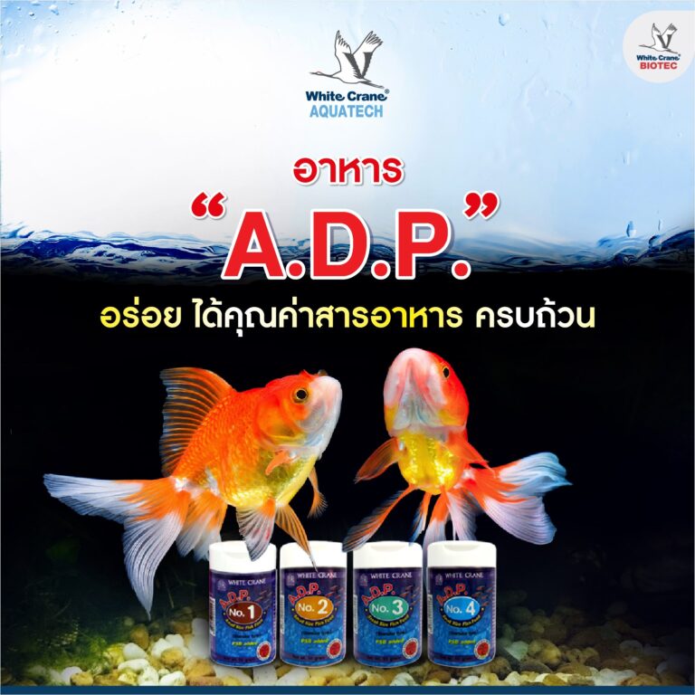 ผลิตภัณฑ์ A.D.P.