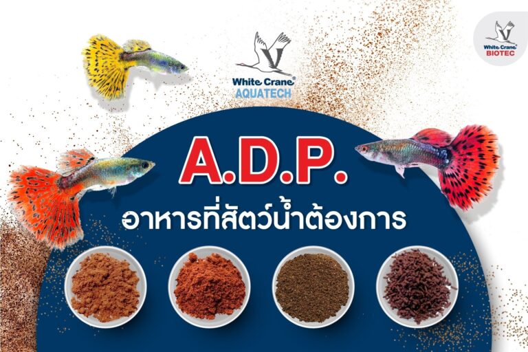 A.D.P. อาหารที่ปลาต้องการ