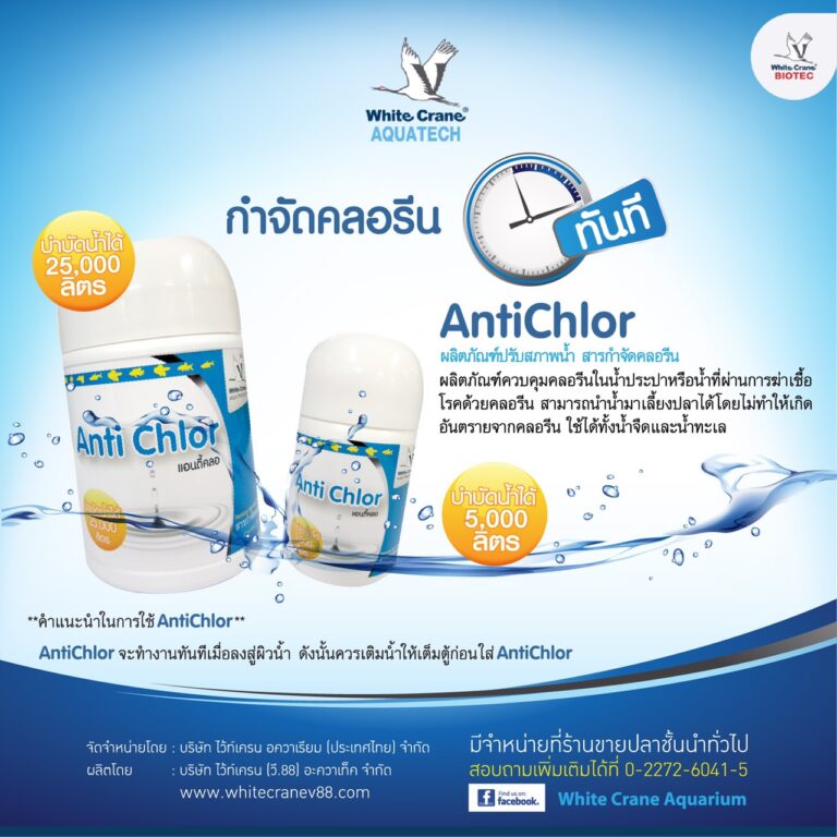 ผลิตภัณฑ์ Ani Chlor