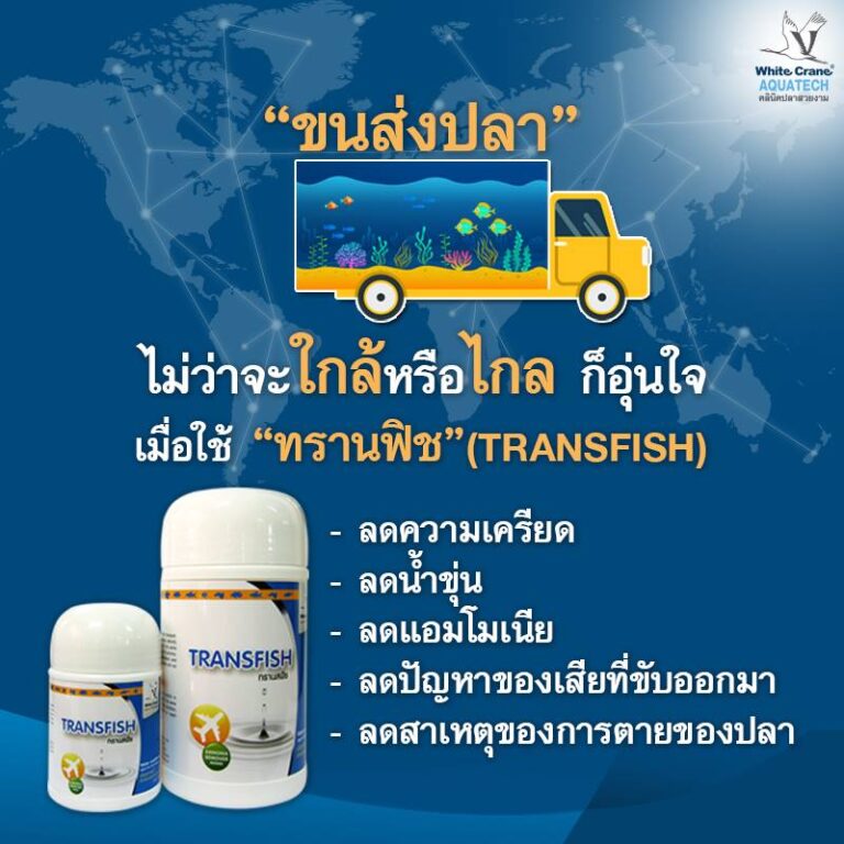 ผลิตภัณฑ์ TransFish