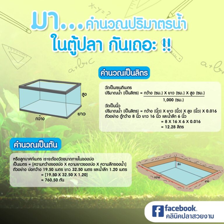 คำนวณปริมาตรน้ำในตู้ปลา