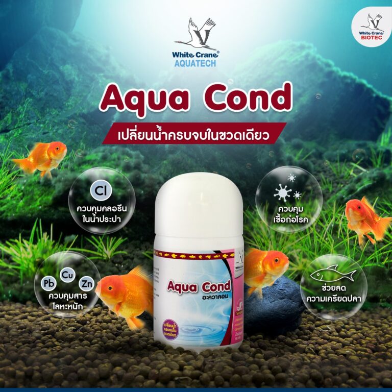 ผลิตภัณฑ์ Aqua Cond