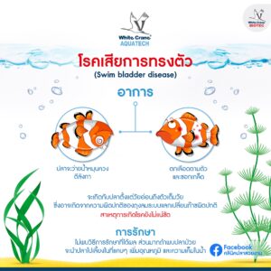 โรคเสียการทรงตัว