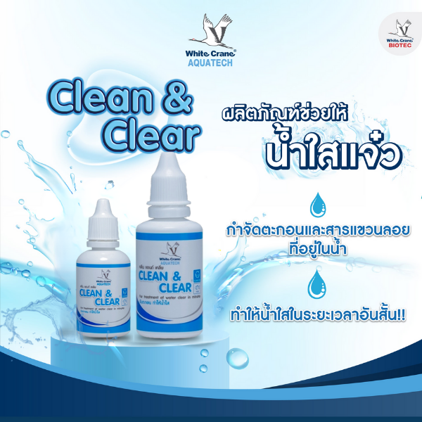 ผลิตภัณฑ์ Clean&Clear