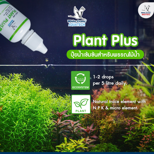 ผลิตภัฑณ์ Plant Plus