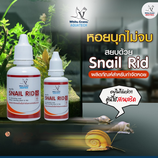 ผลิตภัฑณ์ Snail Rid