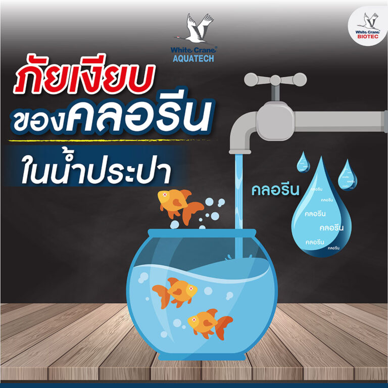 ภัยเงียบของคลอรีน