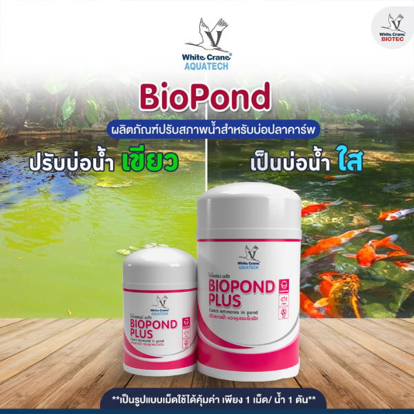 แก้ปัญหาน้ำเขียวด้วย BioPond